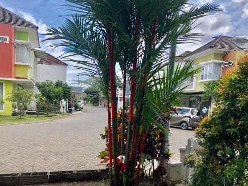 Gerbera 4br Villa Springhill Garden Malang
