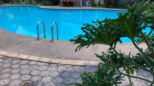 Villa Palm 74