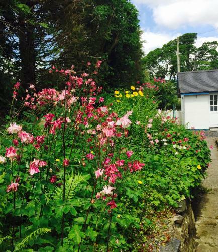 Pen Y Bont Cottage