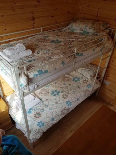 Acorn Camping And Caravan Park