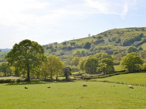 Maes Y Bryn Farmhouse