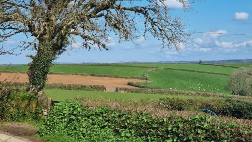 Quirky Converted Barn With Fabulous Views