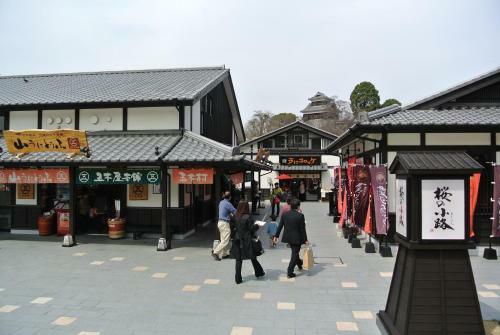 &and Comfy Hotel Kumamoto Jo View