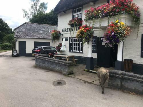 Apartamento Beautiful, Immaculate New Forest Cottage