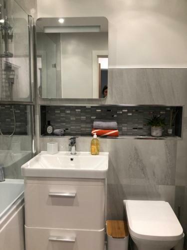 Pristine Luton Apartment Flat 3 Tavern Court