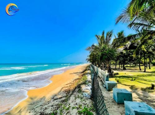 Apartamento Dream Ocean Condo