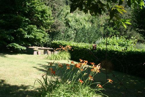 Apartamento Casa Scheda
