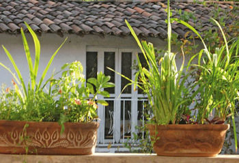 Hotel La Casona Temazcal