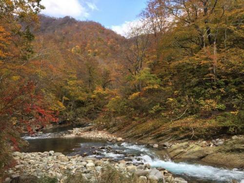 Arimaya - Vacation Stay 14255v