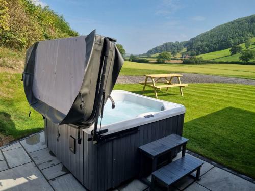 Meadow View