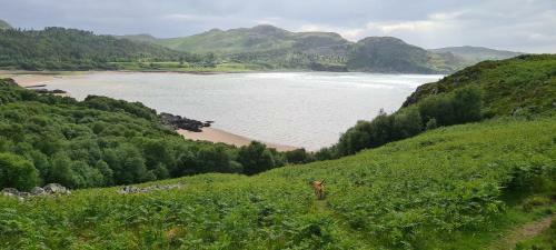Apartamento Loch Ewe Luxury Pods