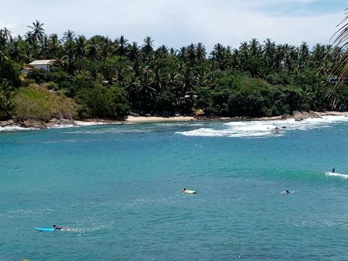 Surf Paradise Home Stay