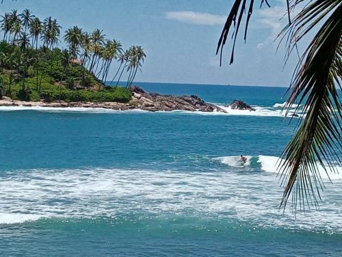 Surf Paradise Home Stay