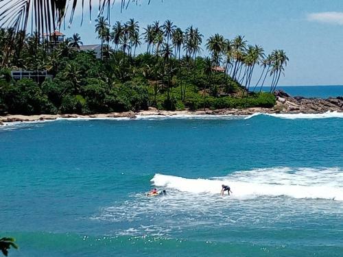 Surf Paradise Home Stay
