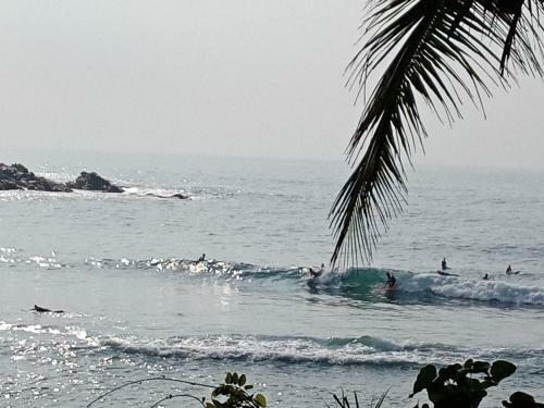 Surf Paradise Home Stay