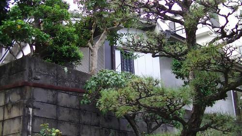Minshuku Chatamago