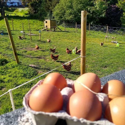 Kerryanna Country House Bed And Breakfast
