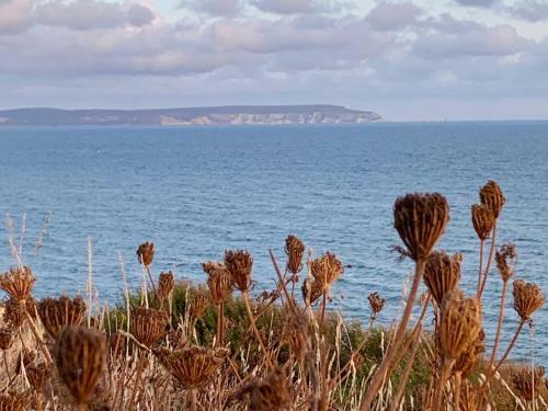 Shorefield Country Park,