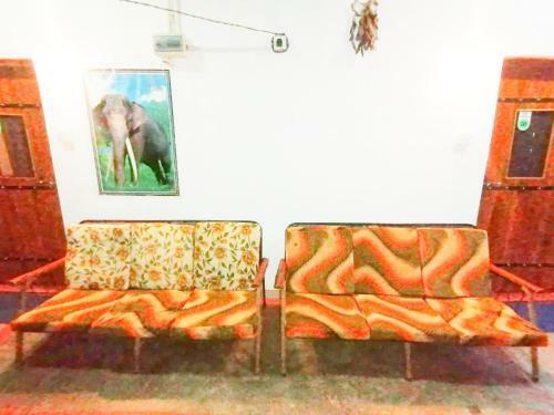 Agroturismo Shaggy Home
