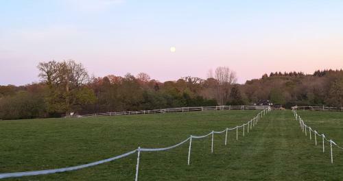 Park Farm Touring Caravan, Minstead, New Forest