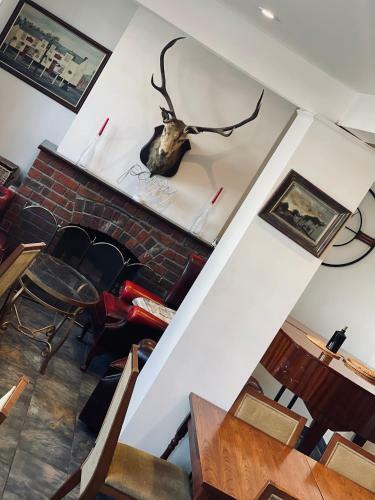 Bed & Breakfast The White Stag Lodge