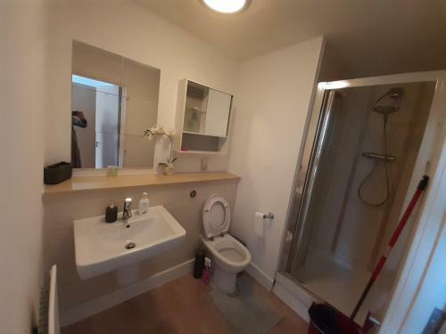 Salaam Letting (City Apartment)