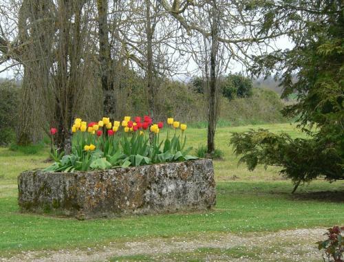 Bed & Breakfast La Bribaudonni�re