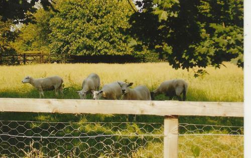 Apartamento Bank Farm Cottages