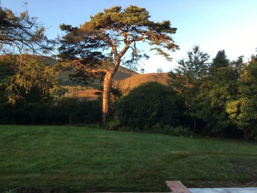 Larch Lodge
