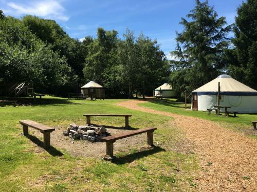 Yurtcamp Devon