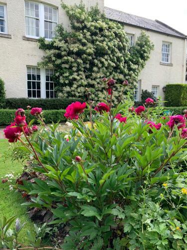 Dalton House Bed And Breakfast