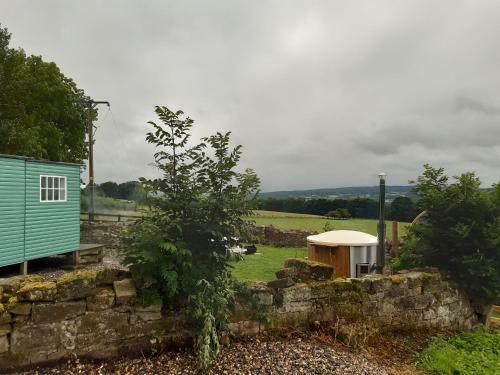 West Wood Yurts Ltd
