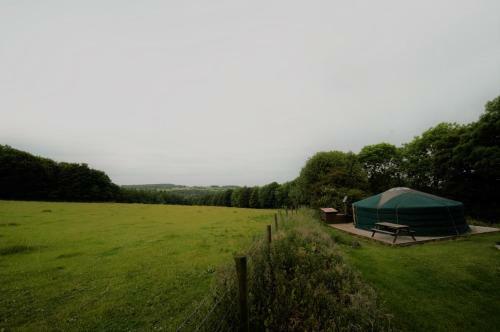 West Wood Yurts Ltd