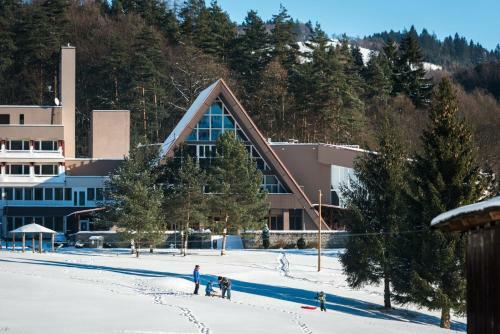 Activitypark Hotel Vsemina