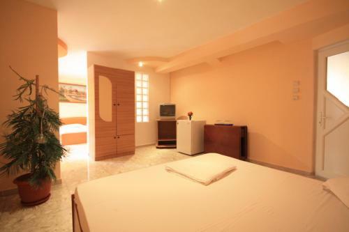 Hotel Vila Casa Leul