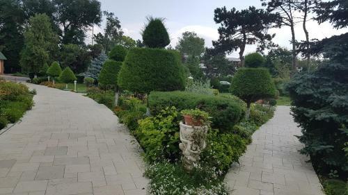 Hotel Scoica