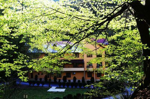 Hostal Pensiunea Magura