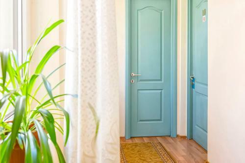 Hostal Pension Floare De Colti