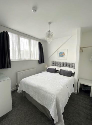 Bed & Breakfast Alderberry Lodge