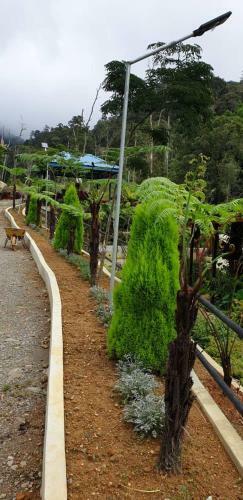 D'la Sri Cottage Bilik2 Noah