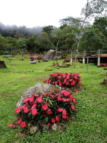 Hostal Spring Garden