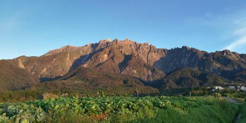 Agroturismo Wind Valley Farmstay