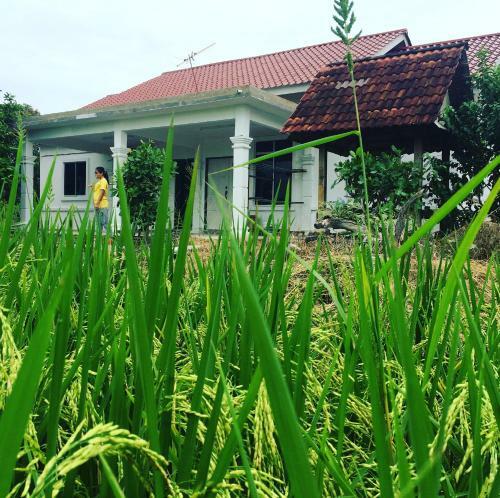 Hostal Abid Homestay & Chalet