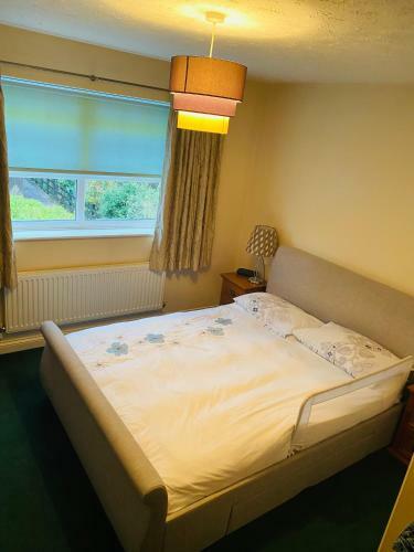 Beautiful Double En-suite Room