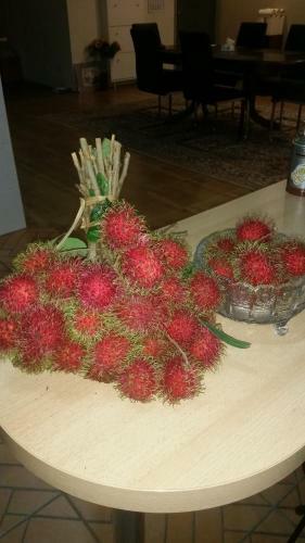 Bed & Breakfast Longan Tree