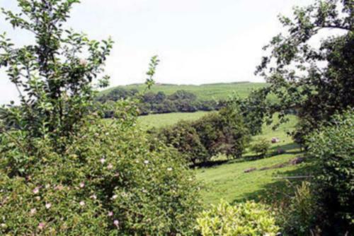 Titchbourne Cottage
