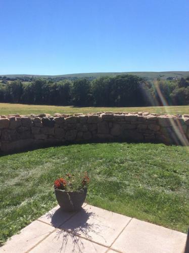 Bed & Breakfast Gooseford Farm
