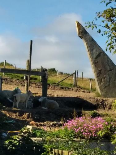 Agroturismo Scorrabrae