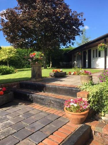 Hostal Primrose Cottage Rooms