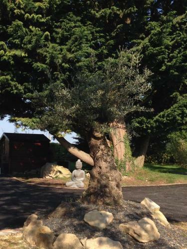 Bed & Breakfast Le Domaine De Saint-thomin